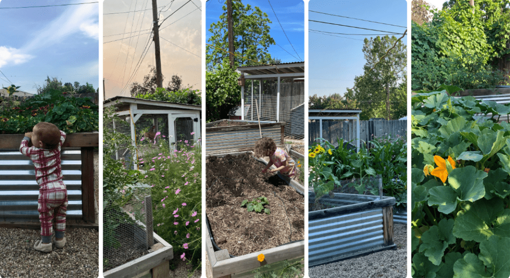 Guide to Gardening in Boise: How to Start and Involve Your Kids