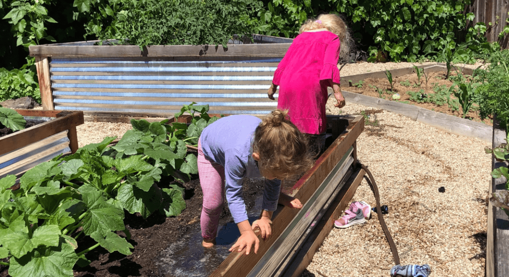 Guide to Gardening in Boise: How to Start and Involve Your Kids 